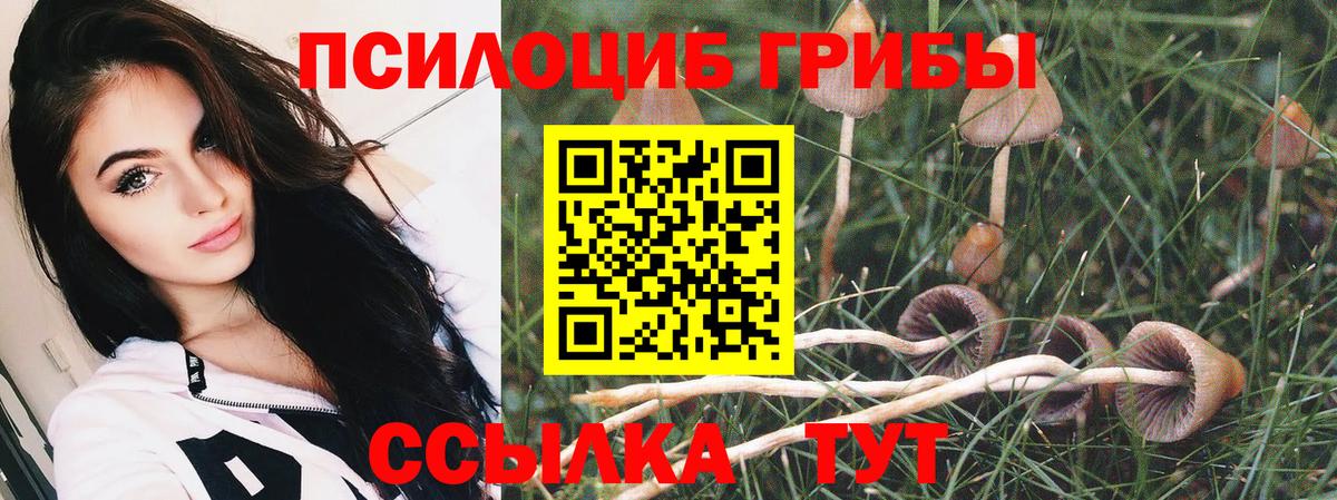 Галлюциногенные грибы Psilocybine cubensis  Вход с VPN  Гурьевск 